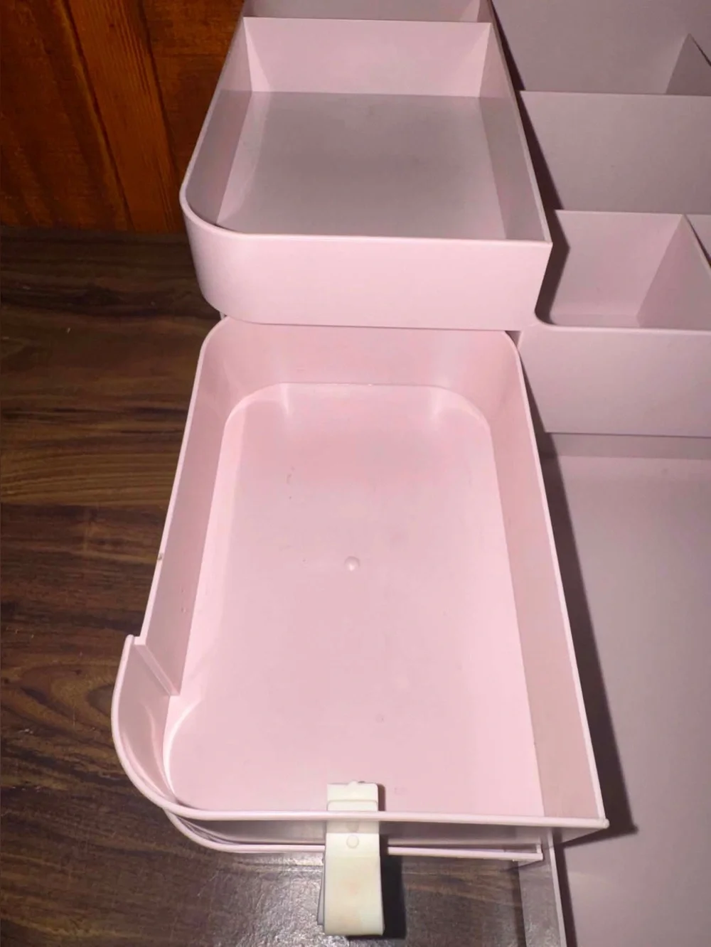 Cosmetic display case and organizer